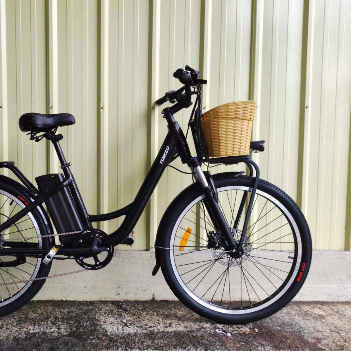 Breeze City Electric Bicycle
