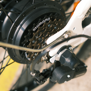 (PRE-ORDER) Carry Compact Utility Electric Bicycle