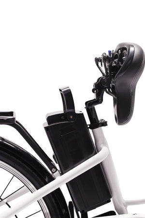 Flex Folding Electric Bicycle